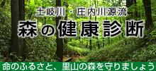 森の健康診断