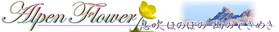 山野草・息吹きほのぼの